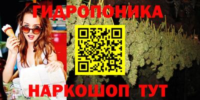 apvp Новодвинск