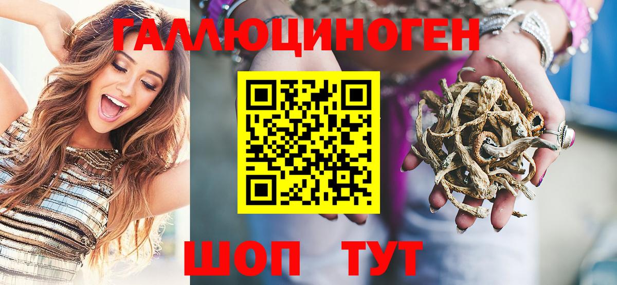 Псилоцибиновые грибы мицелий Ставрополь